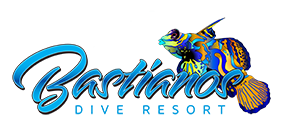 Bastianos Dive Resort Logo